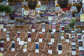 Marché aux fleurs