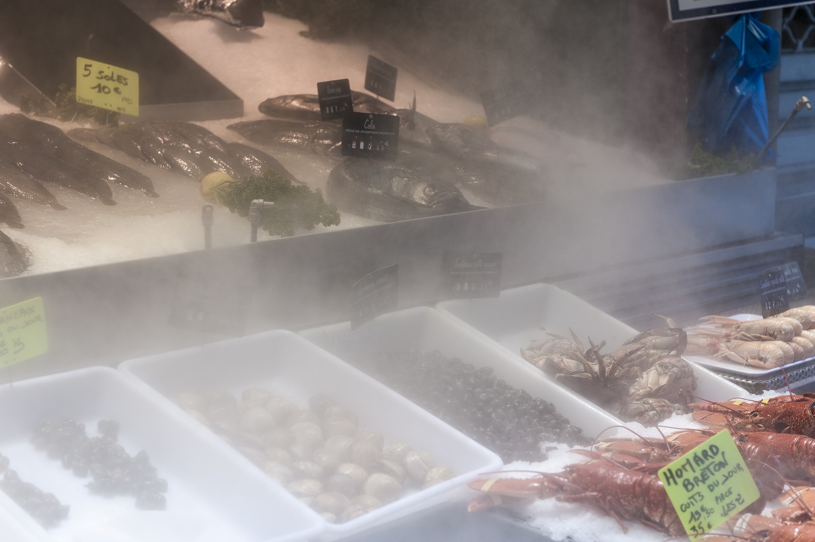 Etal de poissonnerie Etal de poissonnerie
