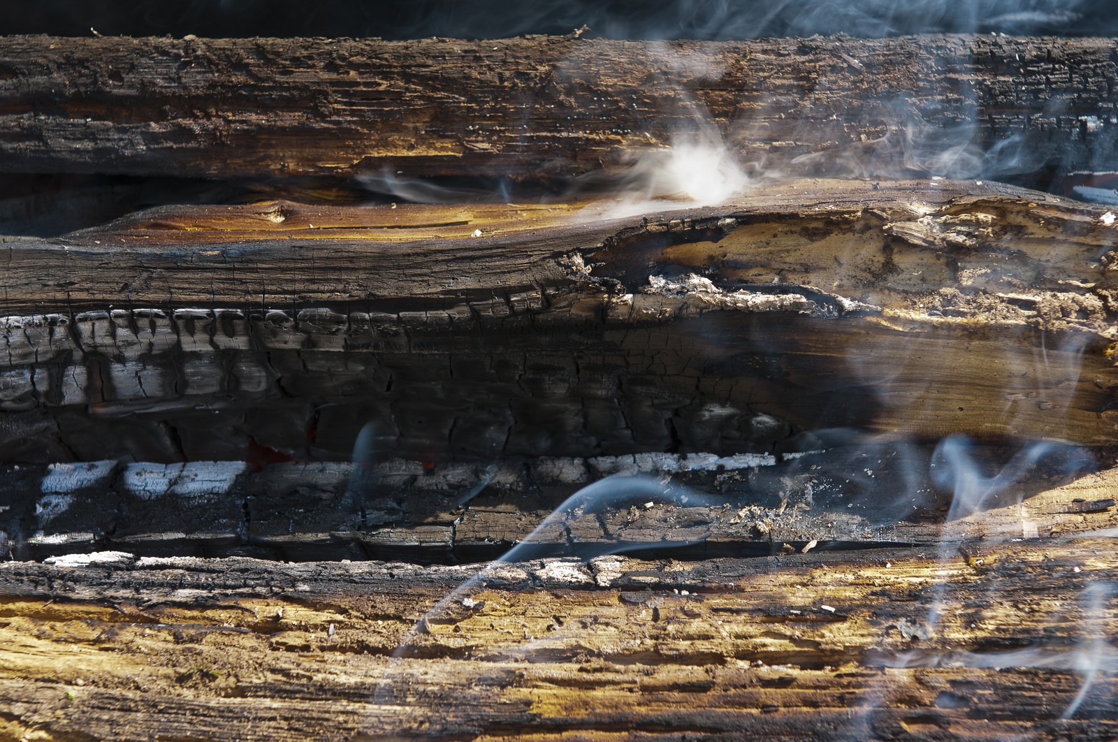 Feu de bois
