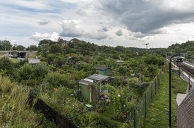 Jardins familiaux