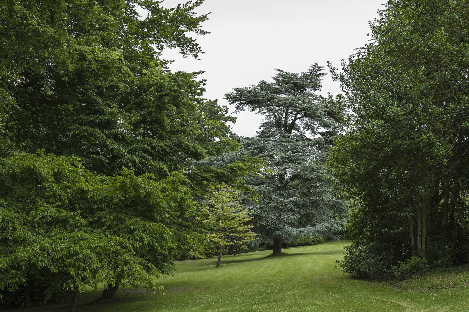 Parc arboré