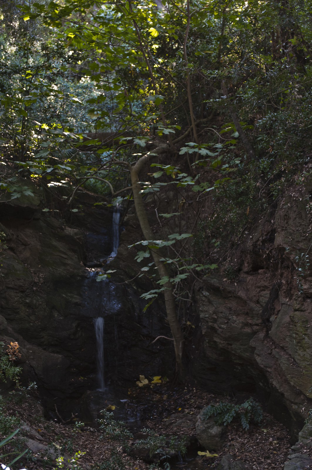 Cascade Cascade