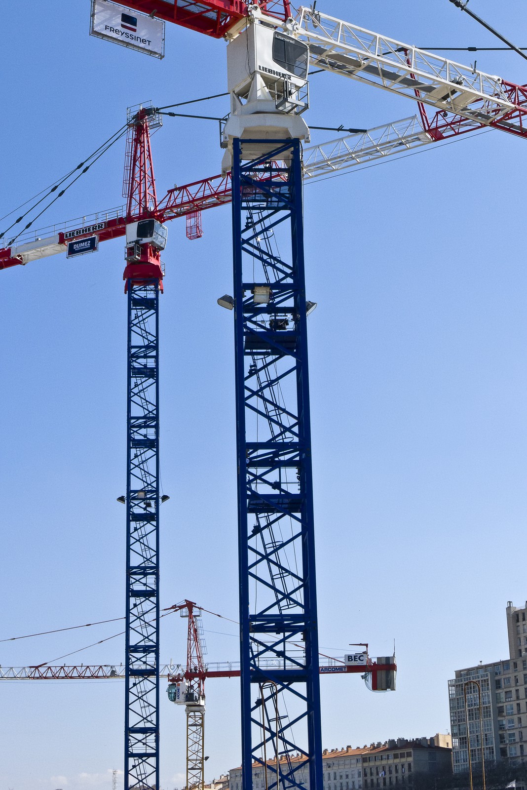 Grues