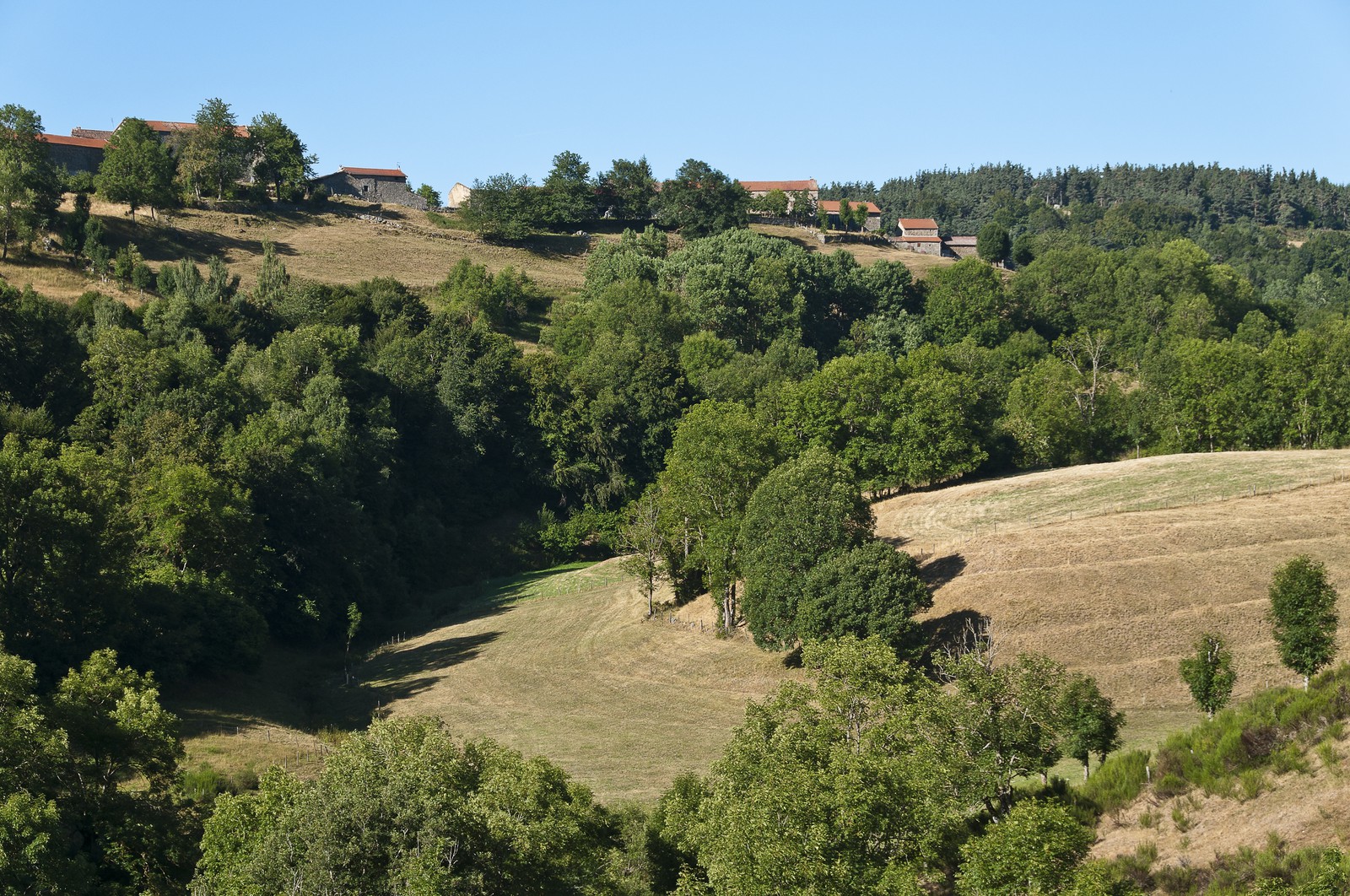 Vallon boisé et maisons d village au sommet de la pente. - Wooded valley and village houses at the top of the slope. Vallon boisé et maisons d village au sommet de la pente. - Wooded valley and village houses at the top of the slope.