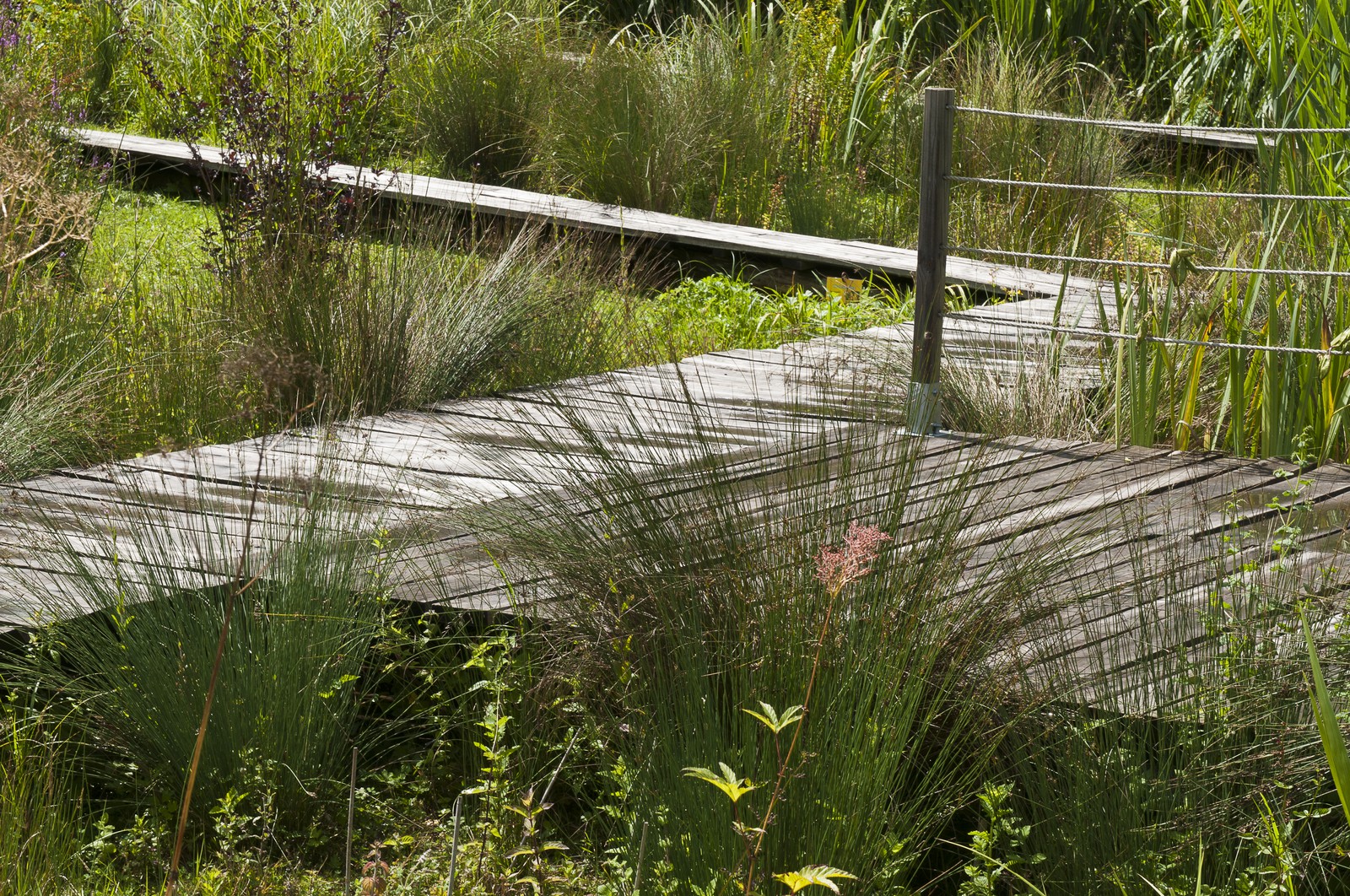 Jardin d'eau Jardin d'eau