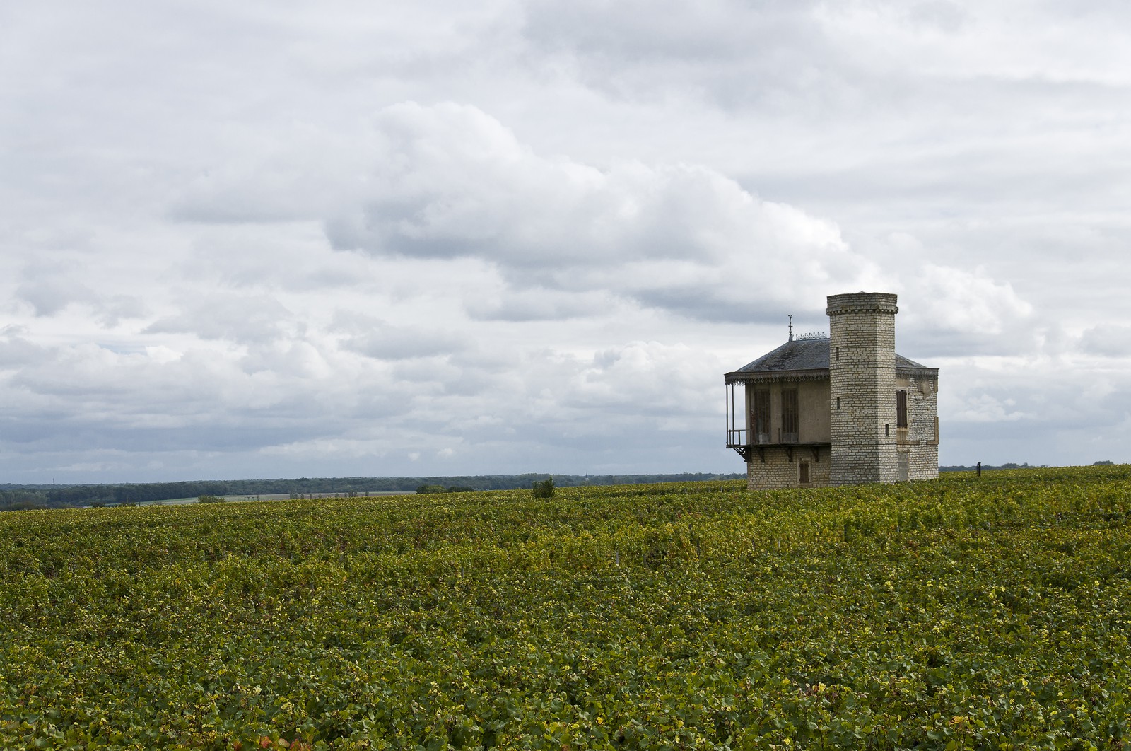 Vignoble du Clos de Vougeot Vignoble du Clos de Vougeot