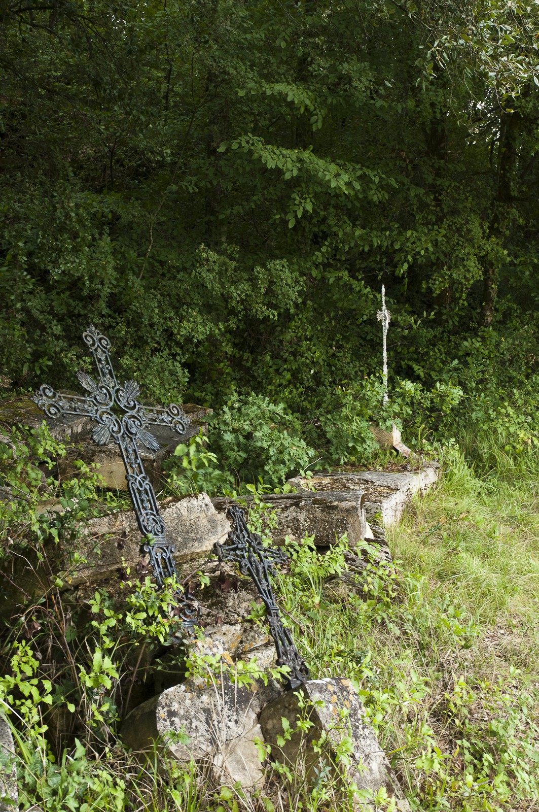 Cimetière abandonné Cimetière abandonné