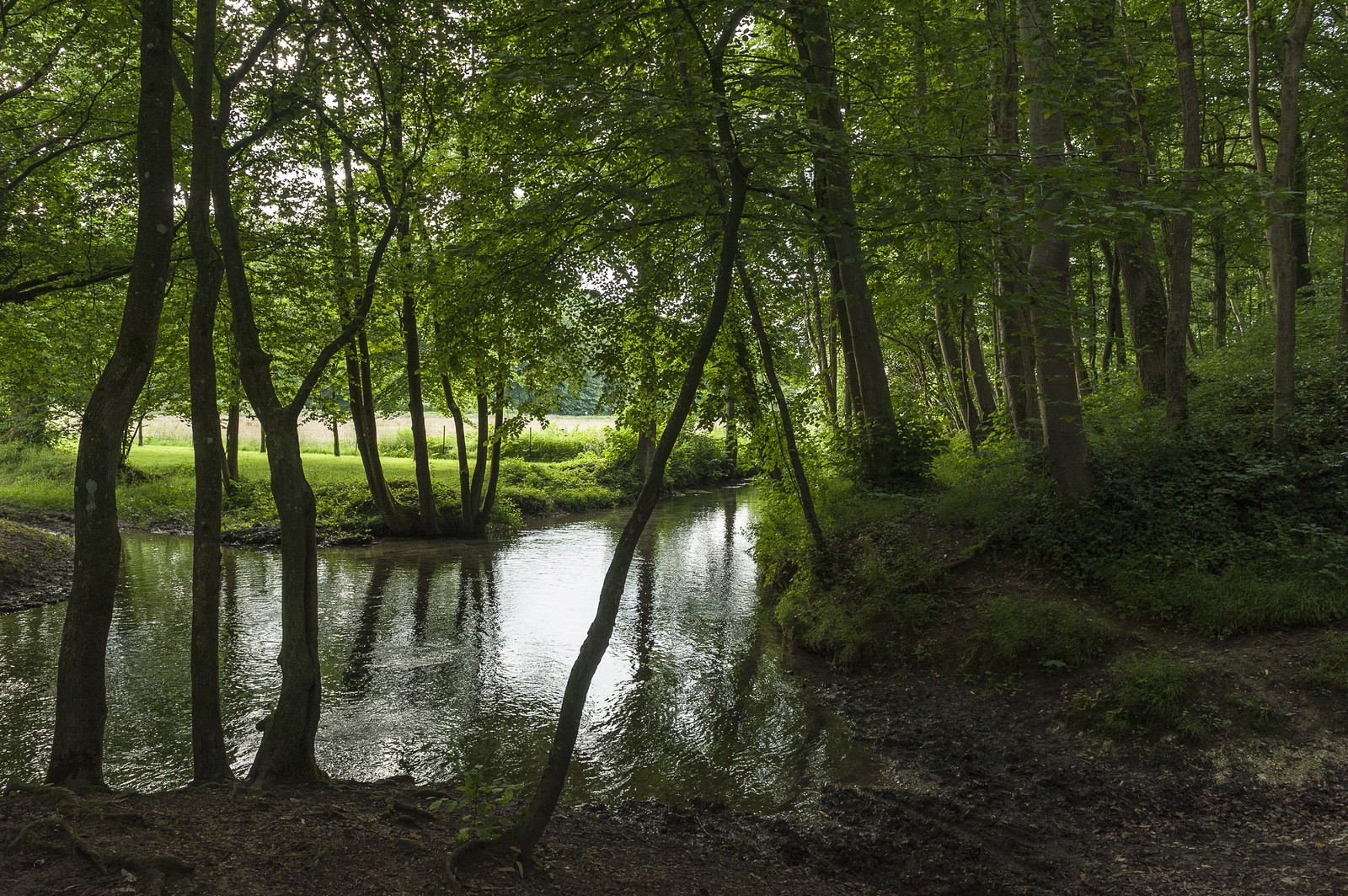 La Saâne La Saâne