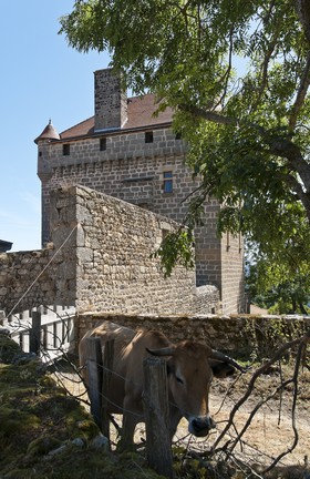 Château d'Ombret
