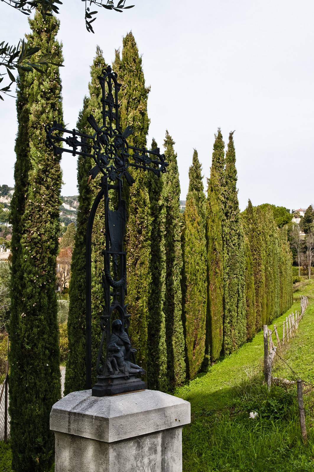 Allée de cyprès