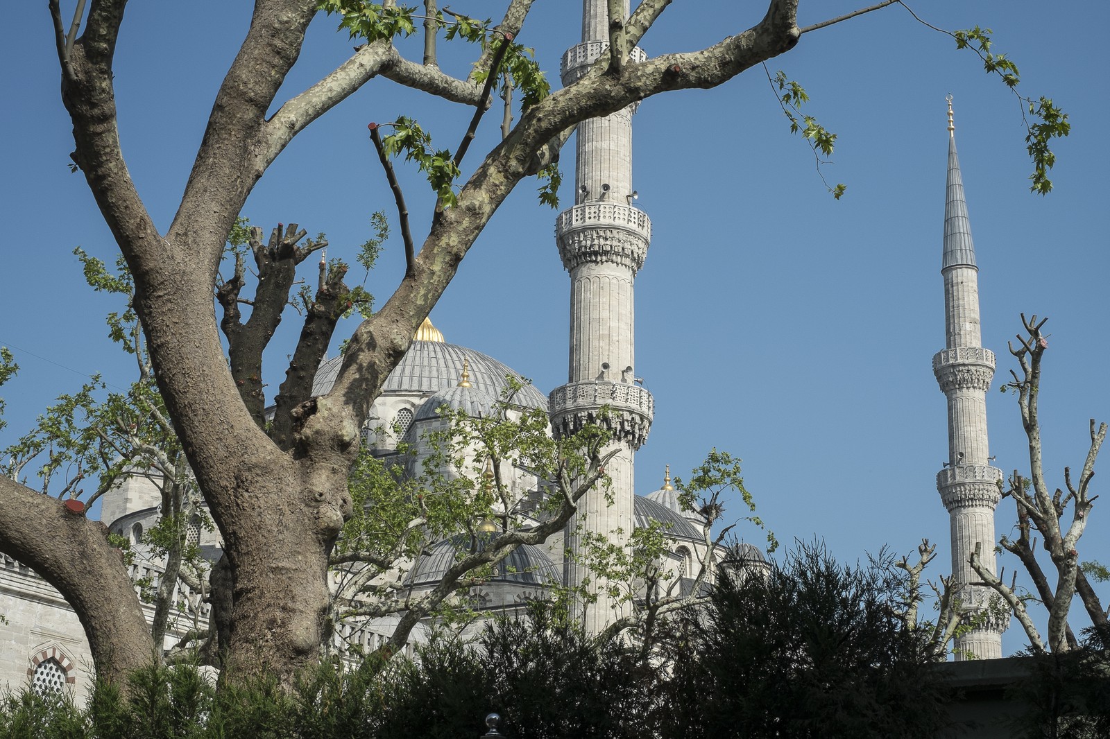 La mosquée Blueue La mosquée Blueue