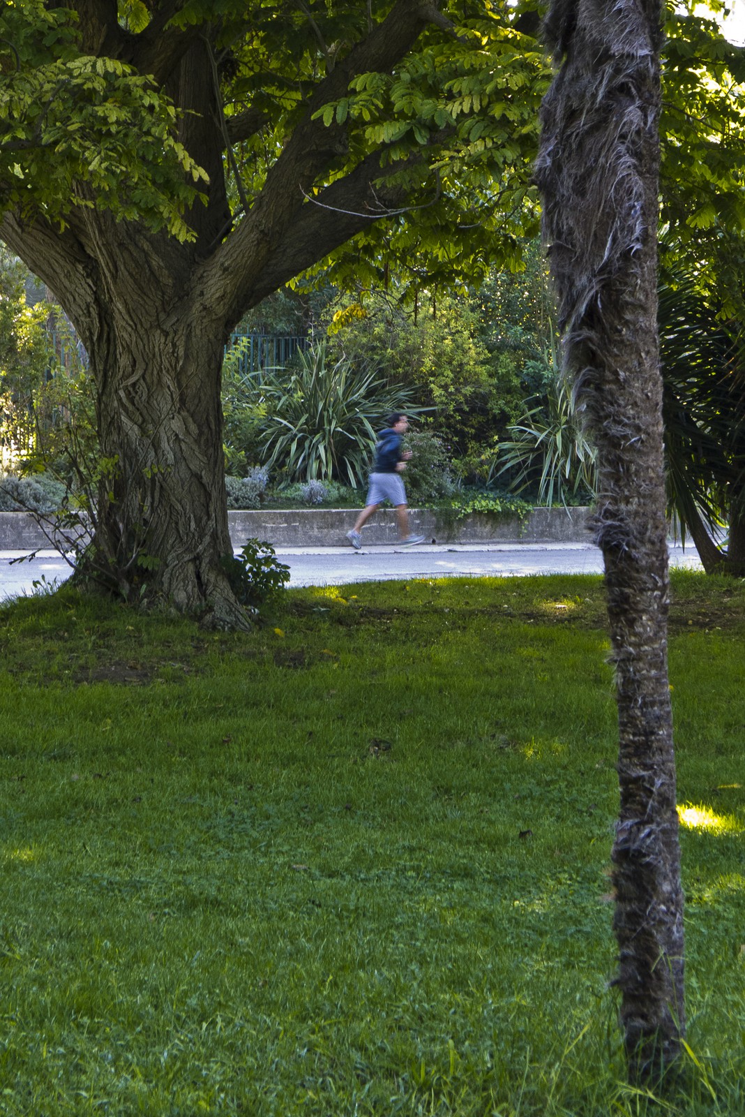 Joggeur Joggeur