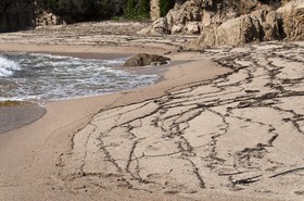 Plage à Porticcio