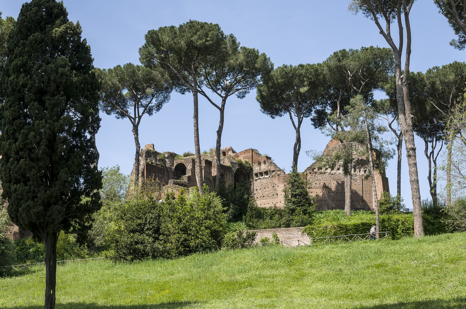 Le stade du Palatin