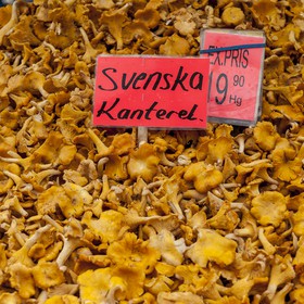 Girolles