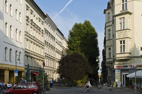 Avenue