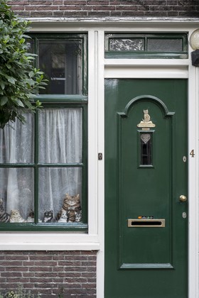 La maison aux chats