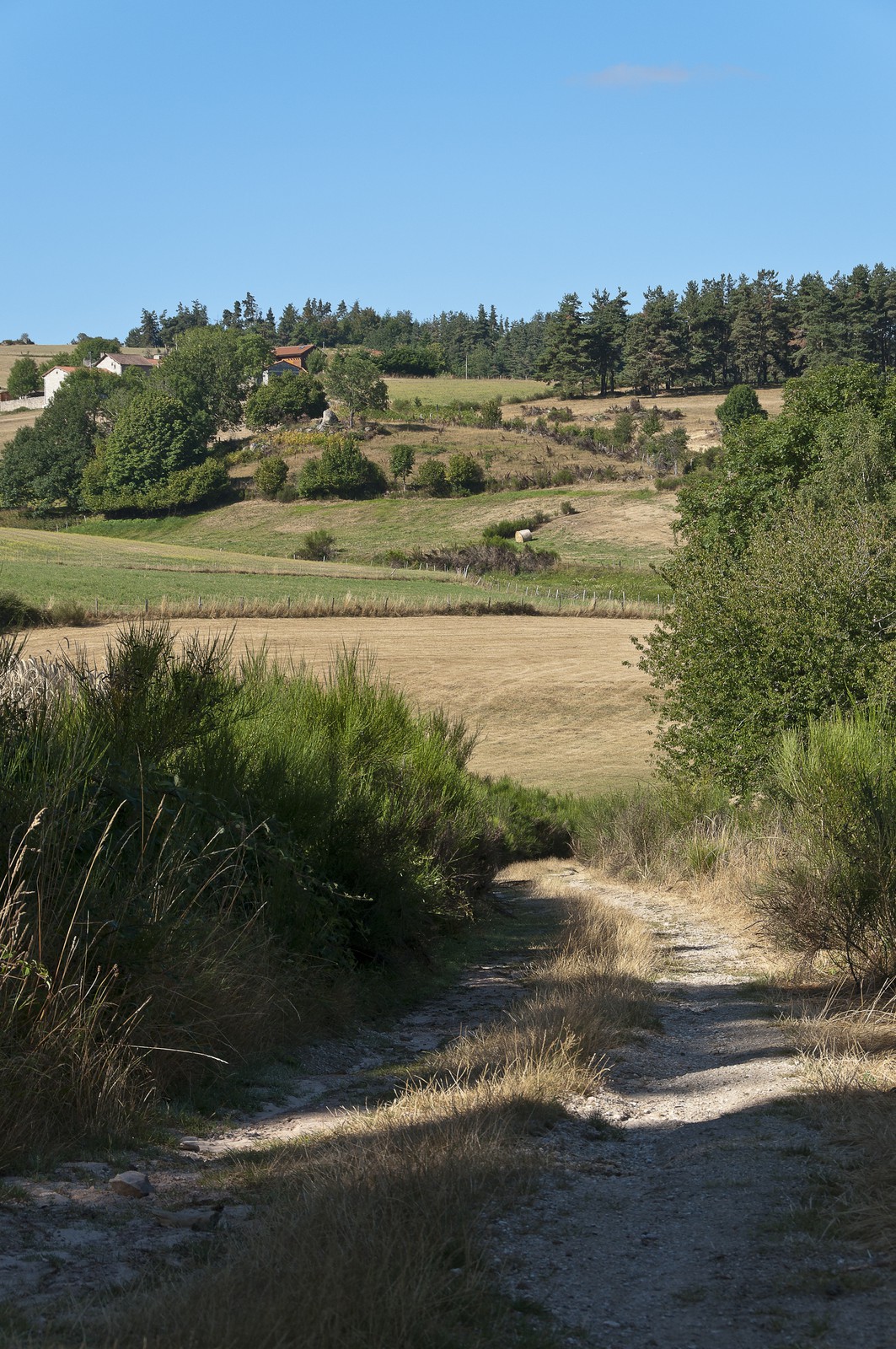 Chemin dans la campagne Chemin dans la campagne