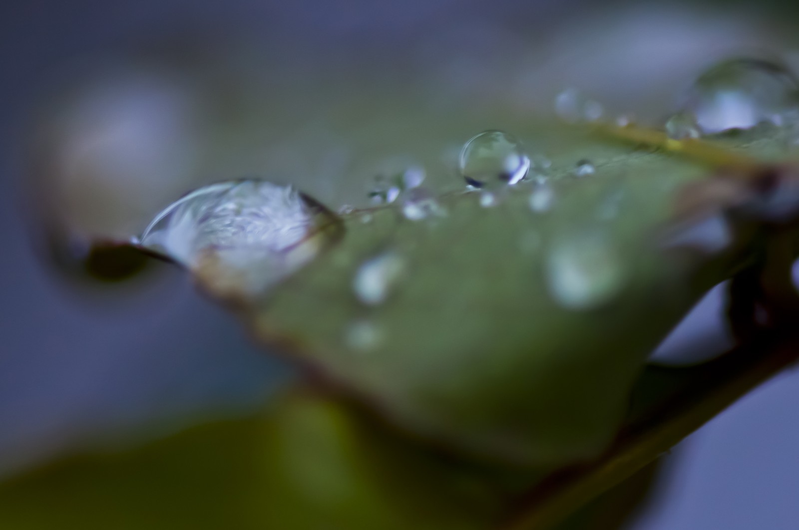 Gouttes d'eau Gouttes d'eau