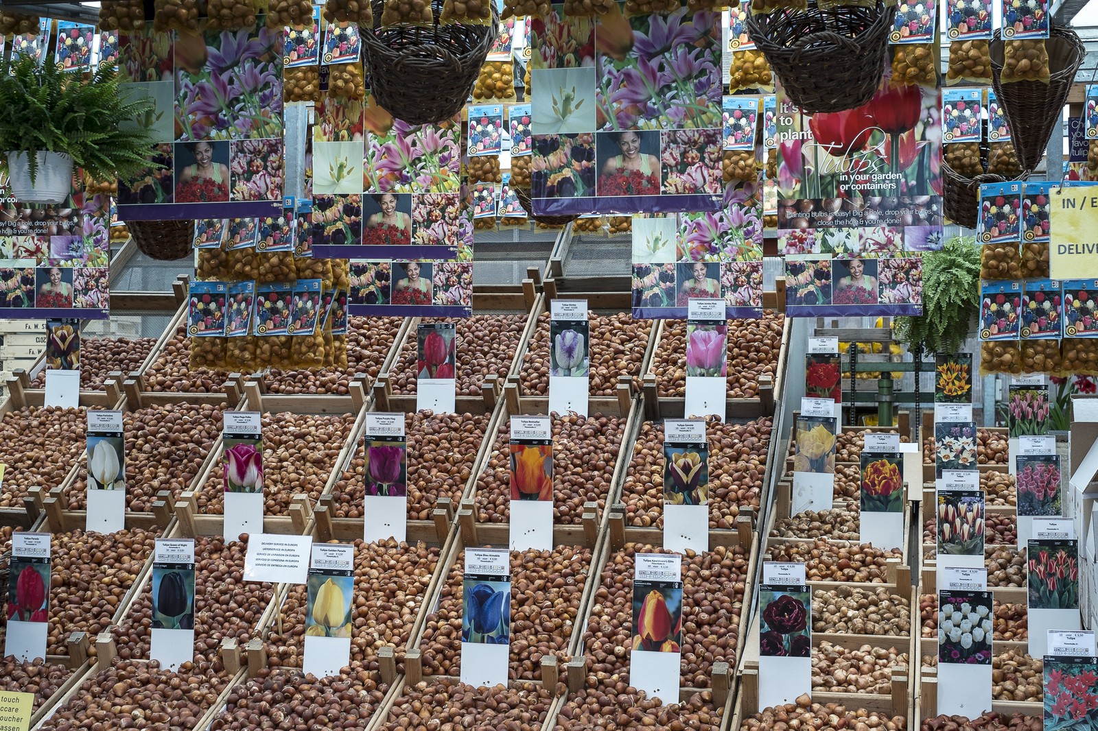 Marché aux fleurs