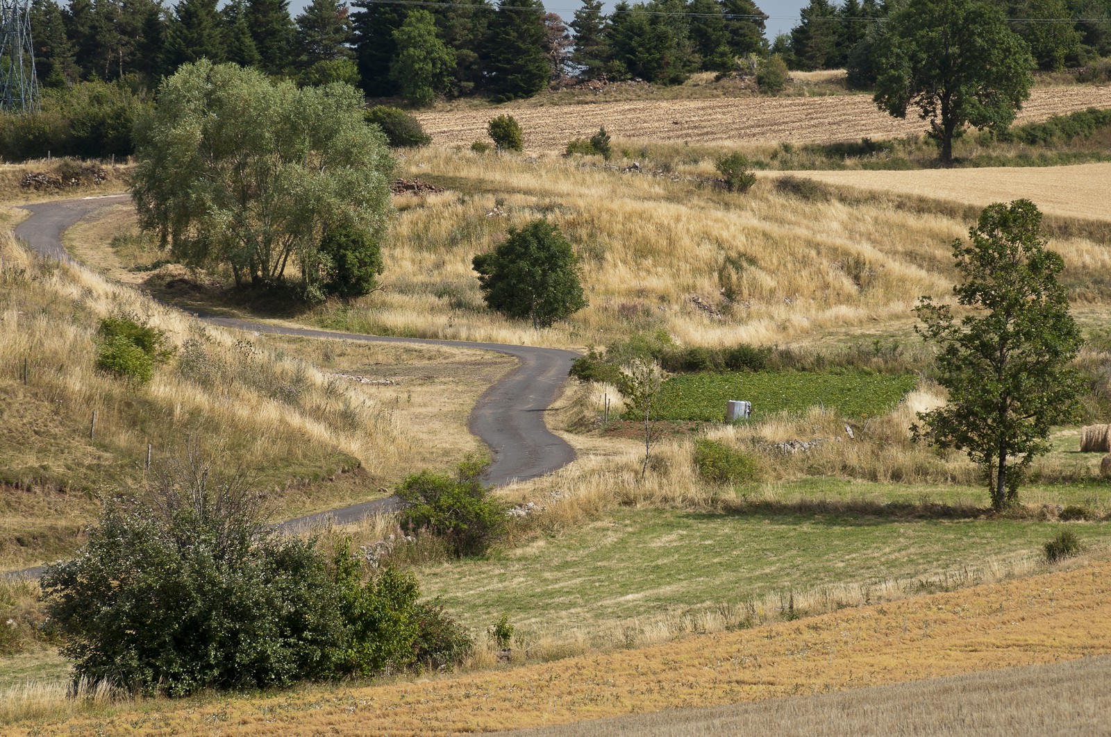 Paysage du Gévaudan Paysage du Gévaudan