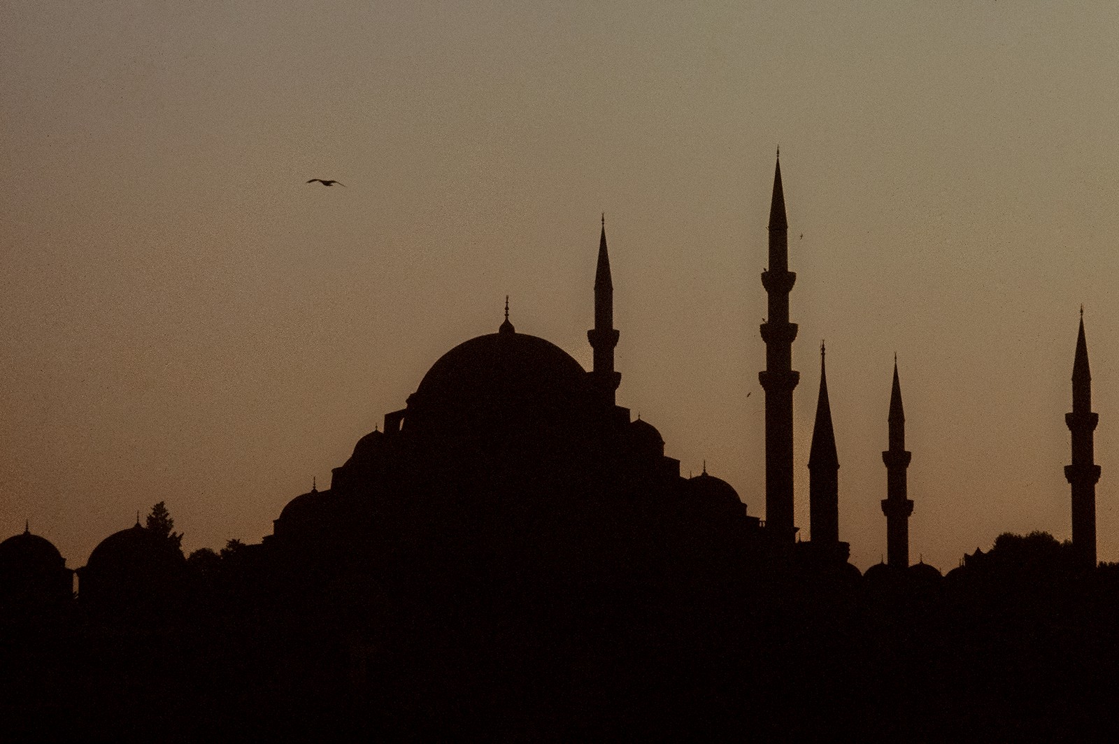 Mosquée