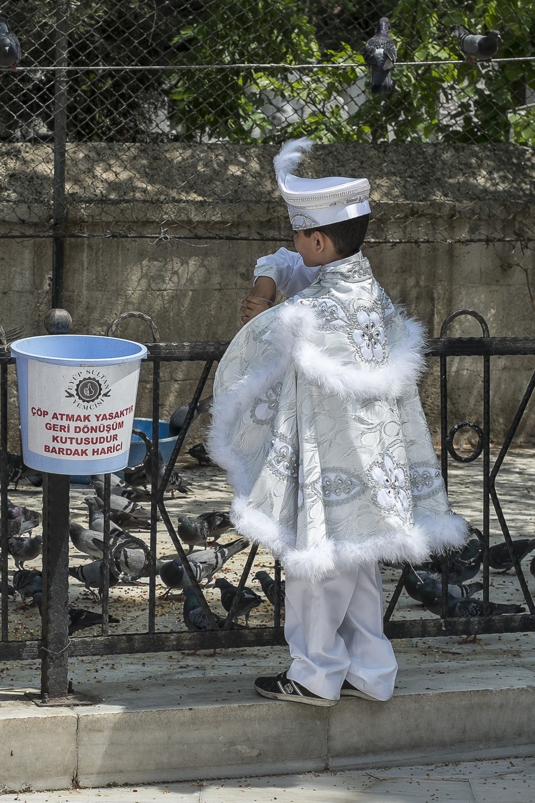 Le prince et les pigeons