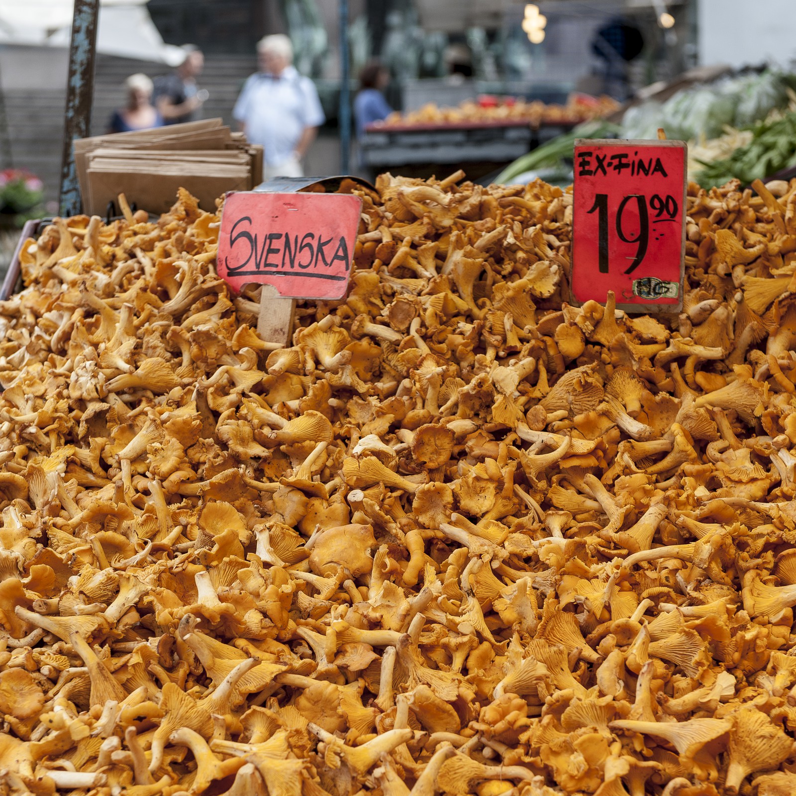 Girolles