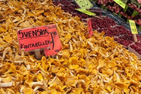 Girolles