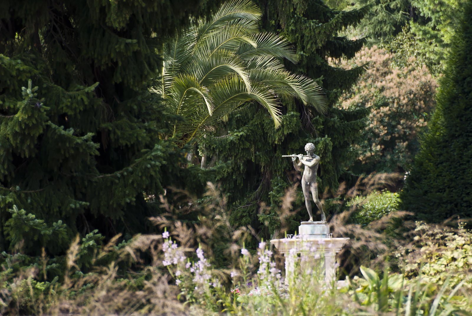 Jardin Jardin